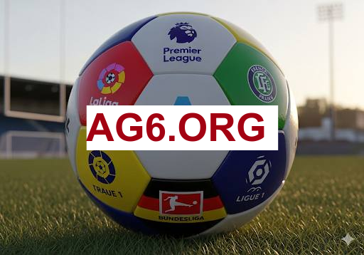 亚星代理带货看板